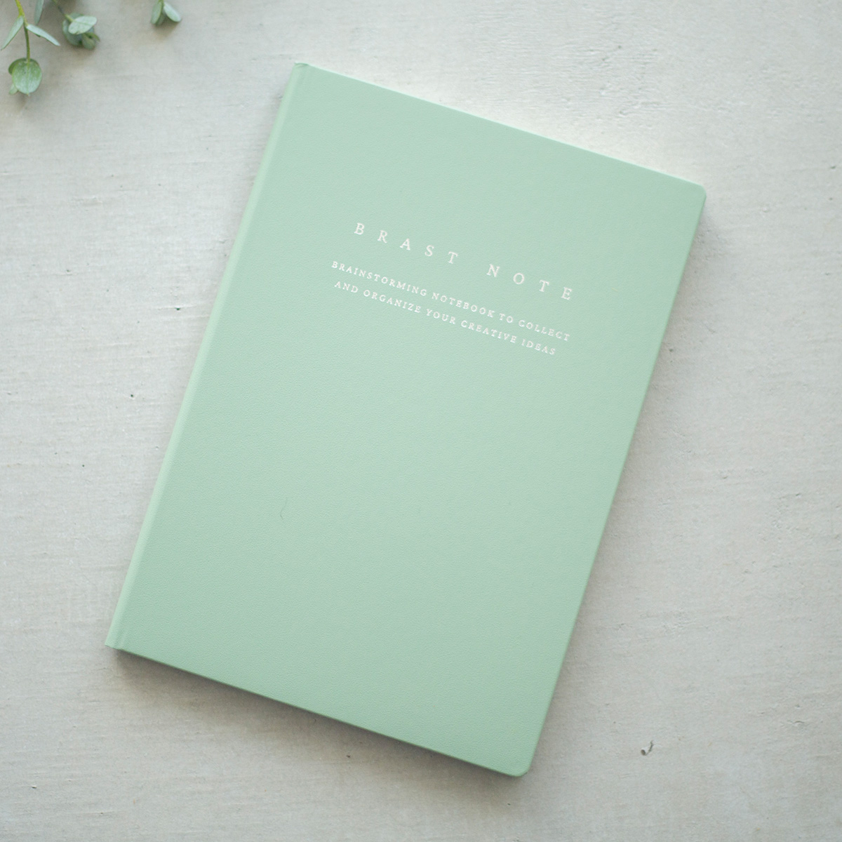 BRAST NOTE green｜FOCUS EiTO