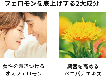 ラグネット公式通販