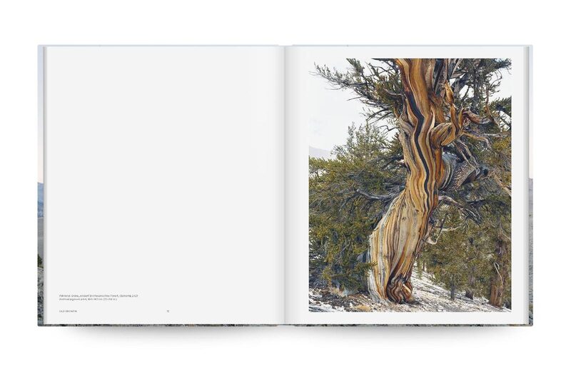 Mitch Epstein: American Nature - Mitch Epstein | moom bookshop