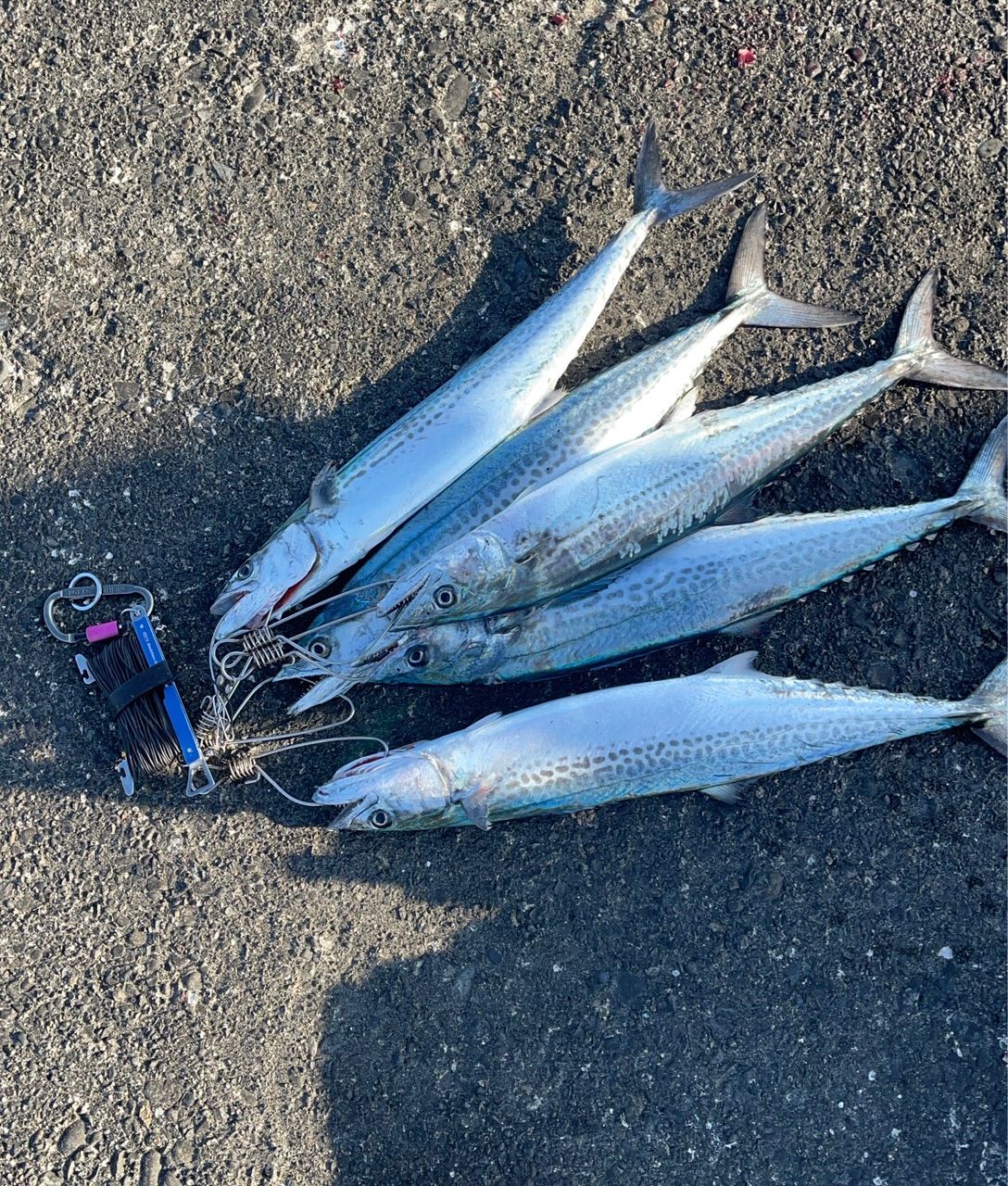 SHIMANO 20コルトスナイパー XR S96MLの最安値・インプレ・釣果 | 本音