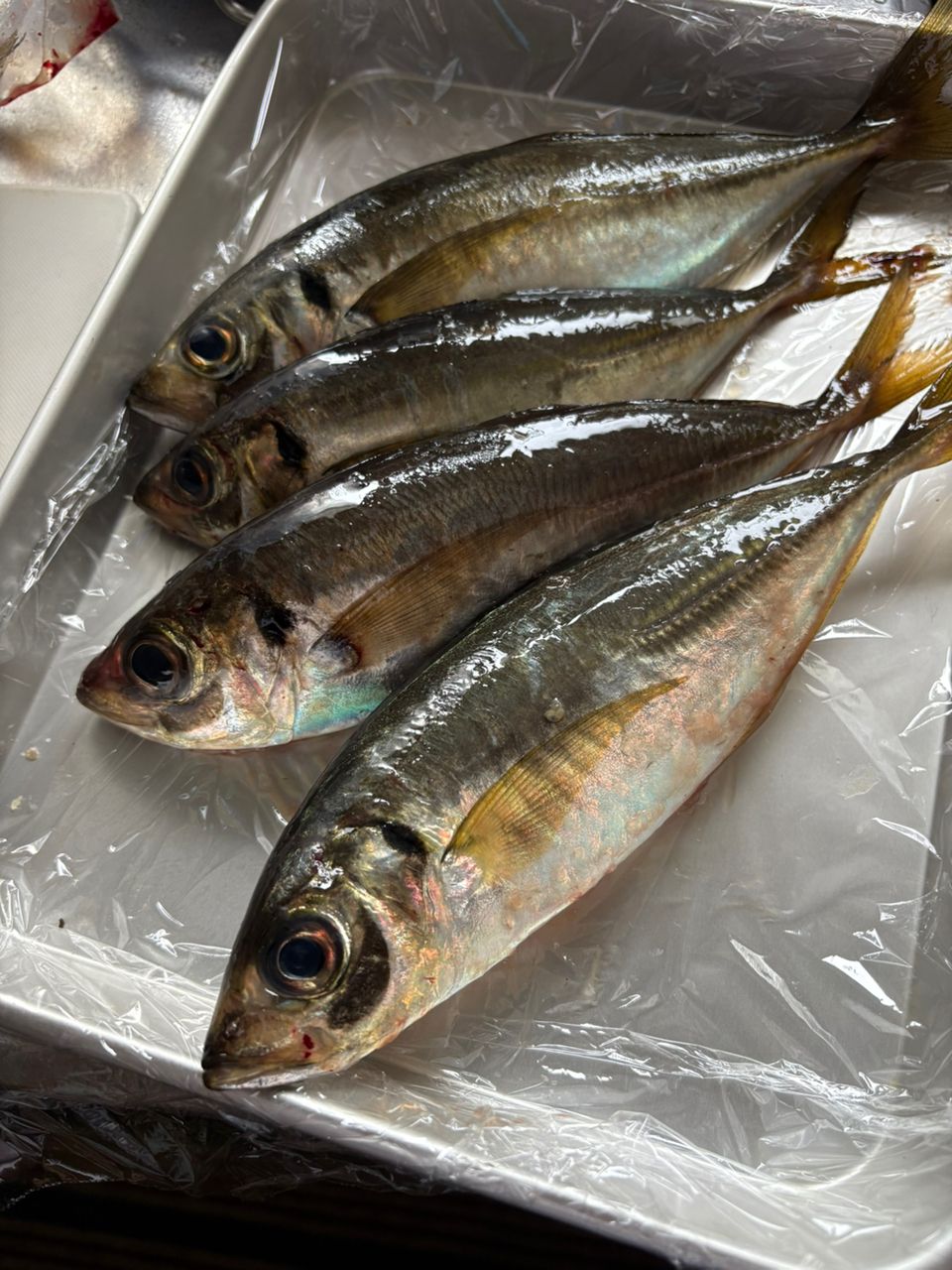 MajorCraft トリプルクロス ティップラン TCX-S682L/TEの最安値