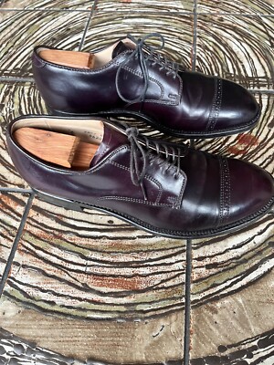 Alden 56201 Color 8 Shell Cordovan Perforated Straight Tip Blucher