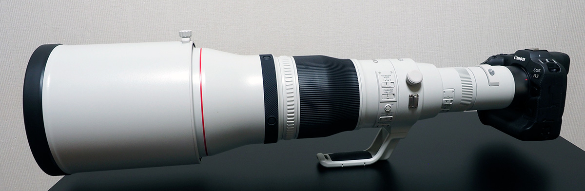 オオタカとカワセミを激写！ニコン「Z9」＋800mm VS キヤノン「EOS R3