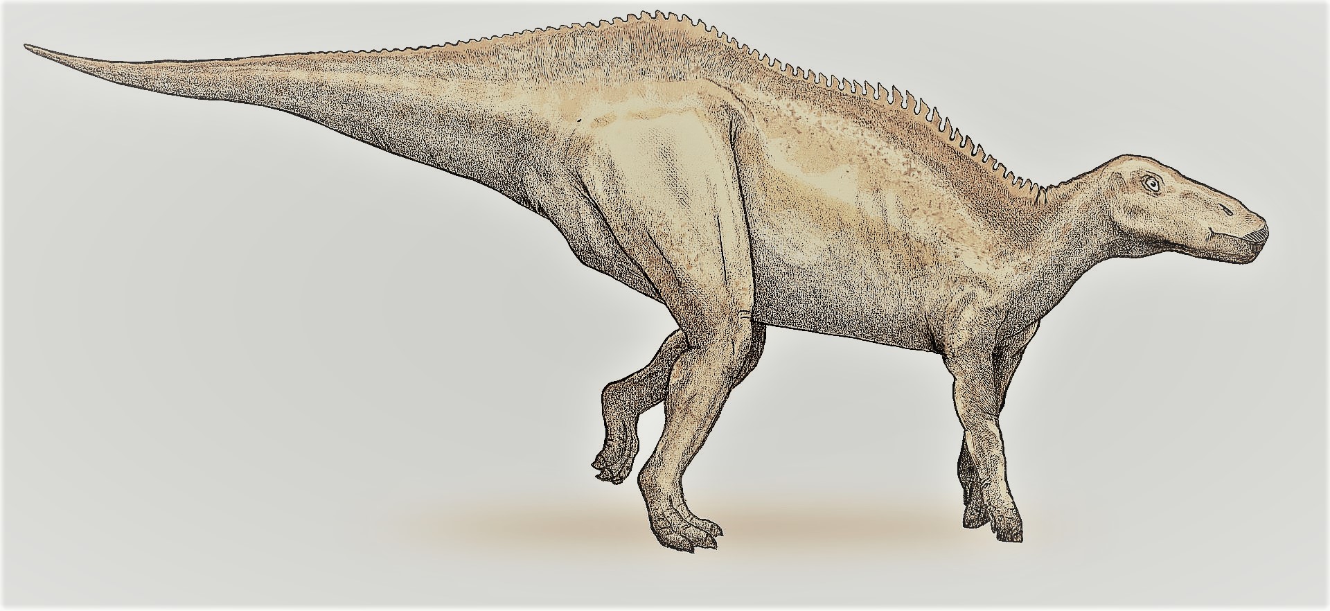 シャントゥンゴサウルス | 恐竜マンblog