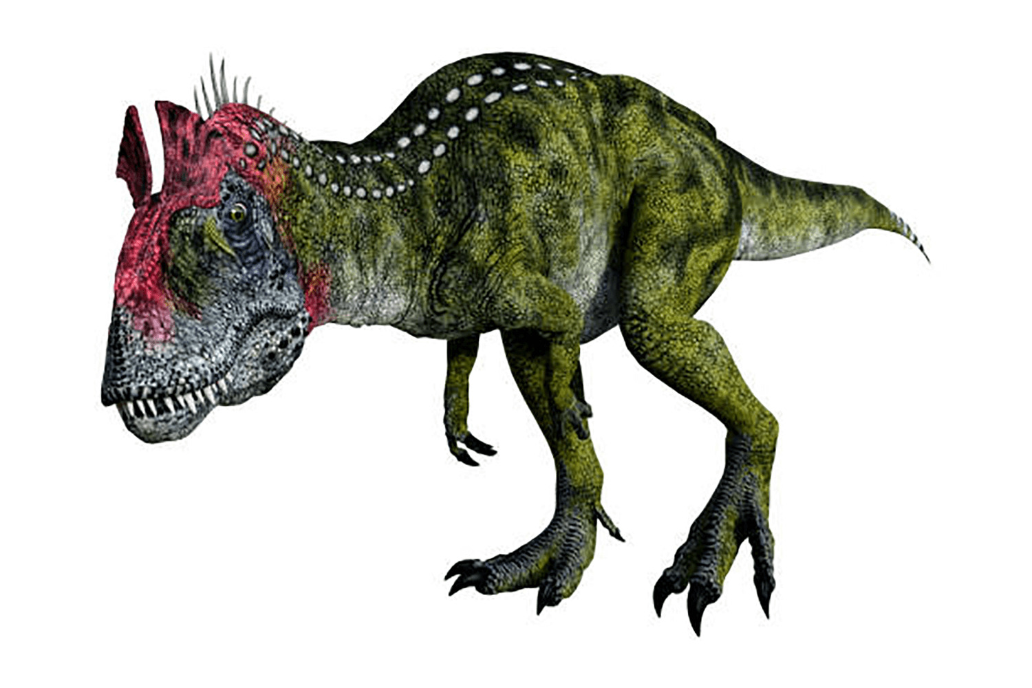 クリオロフォサウルス (Cryolophosaurus) | 恐竜大百科