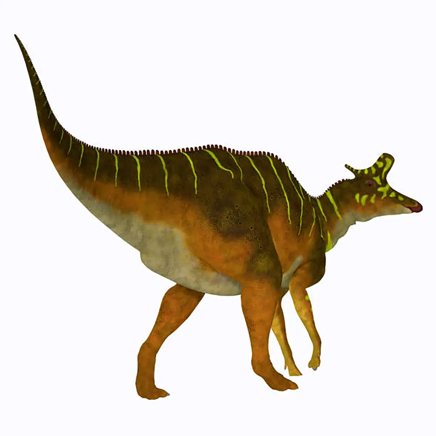 ランベオサウルス (Lambeosaurus) | 恐竜大百科