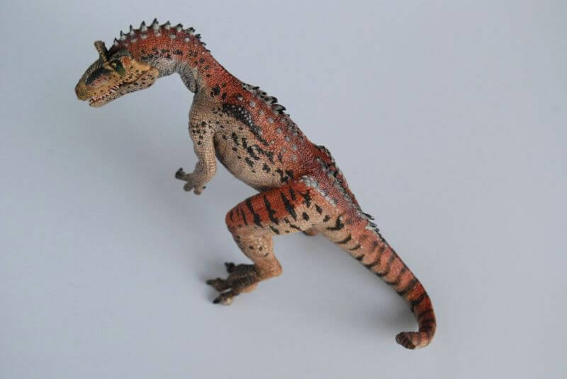 クリオロフォサウルス（Papo）レビュー | 大人の恐竜模型館