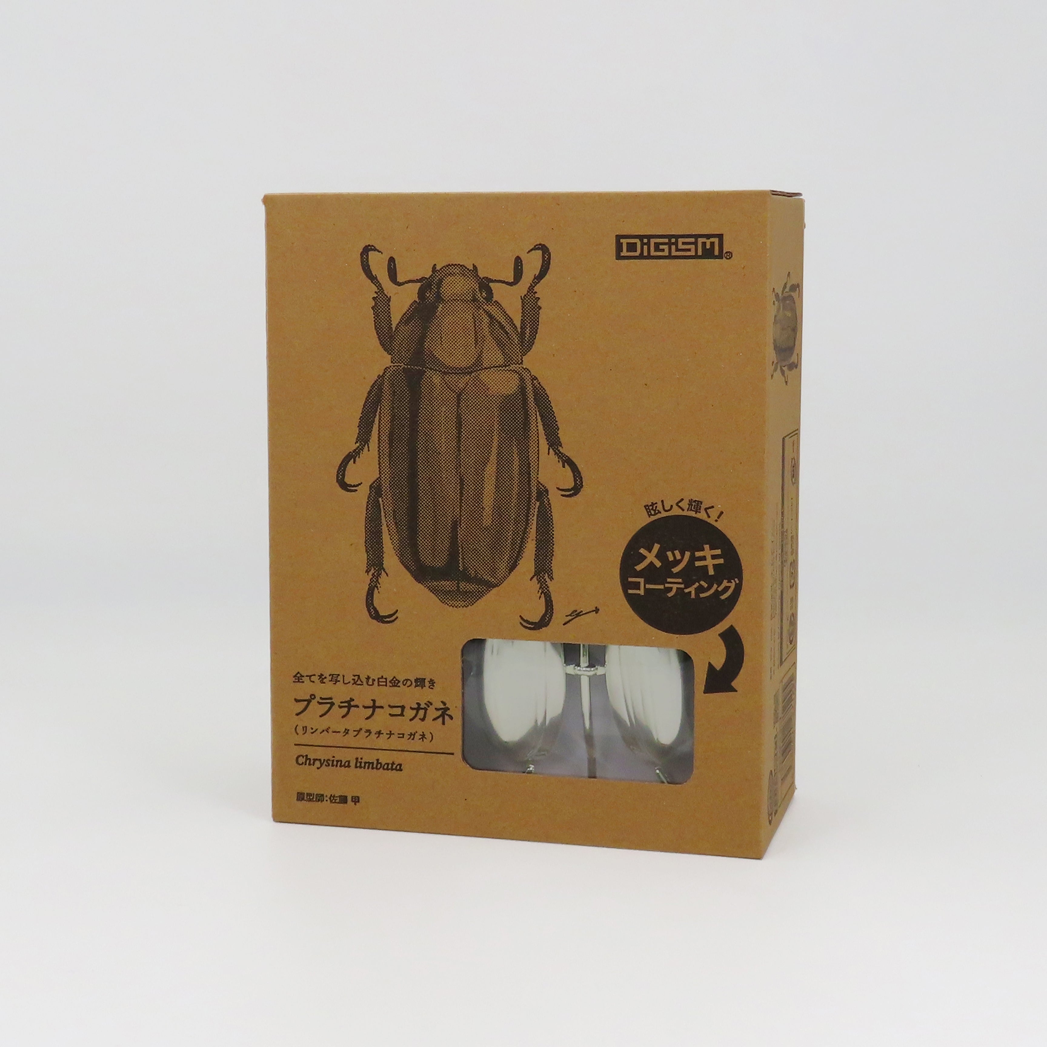 プラチナコガネ(リンバータプラチナコガネ) – DIGBUG