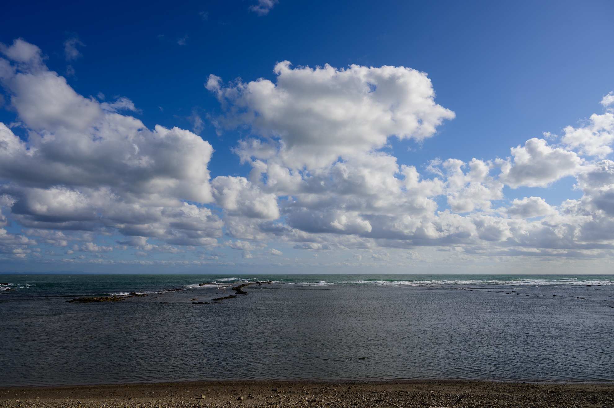 Nikon NIKKOR Z 24-70mm F4 S ◇レビュー◇ | デジタル試しうち