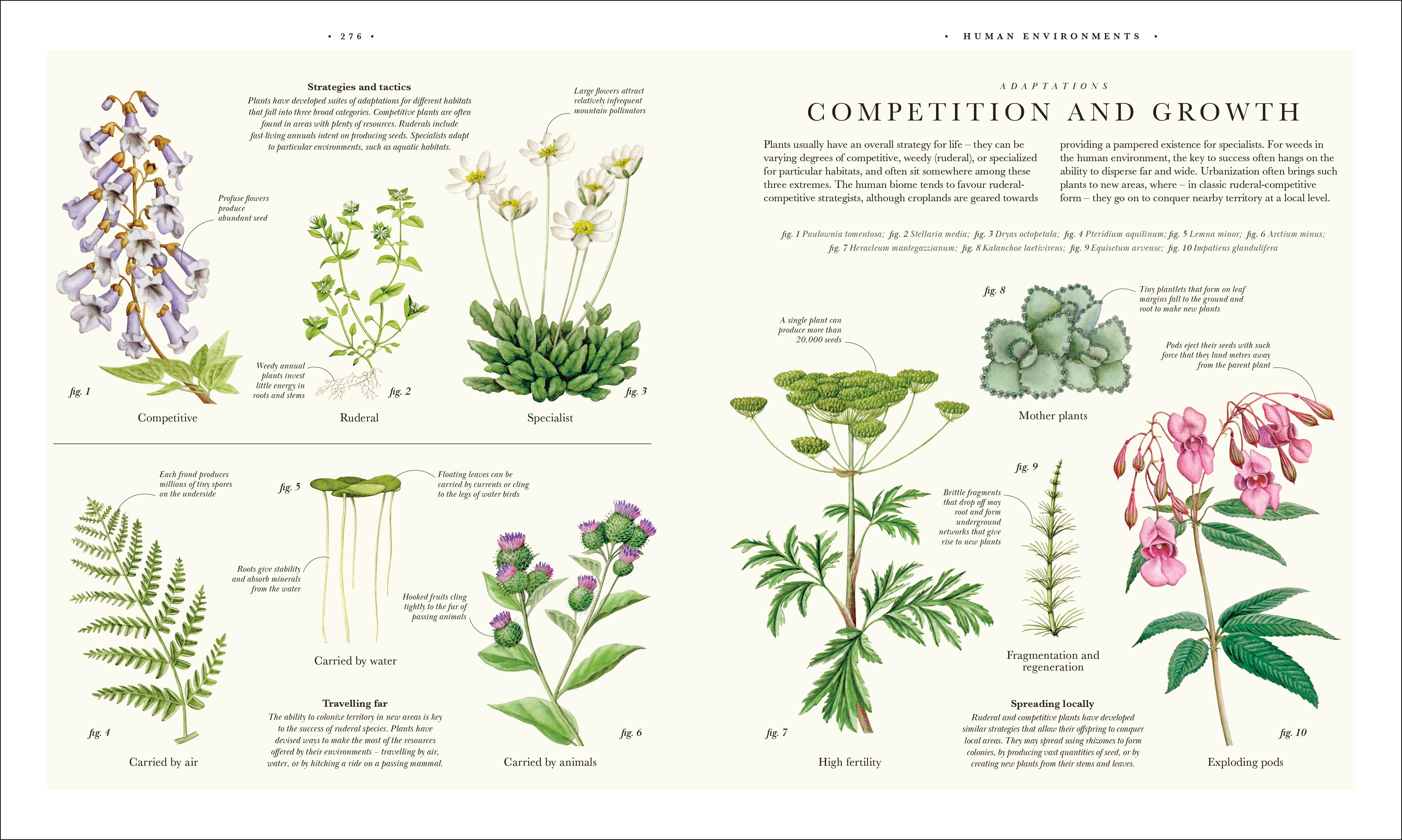 Atlas of Botany – DK