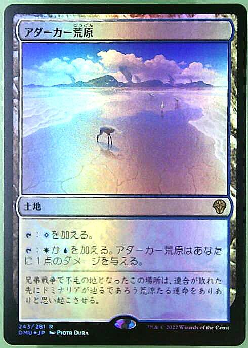 状態NM】MTG 9ED アダーカー荒原 日本語 FOIL 二枚 状態NM】MTG 9ED