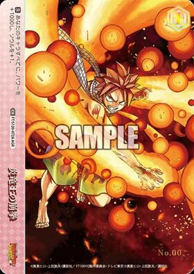 BT】FAIRY TAIL 100年クエスト 商品検索 | ドラゴンスター | ヴァイス