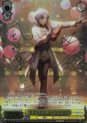 BT】プロジェクトセカイ カラフルステージ! feat. 初音ミク Vol.2 商品