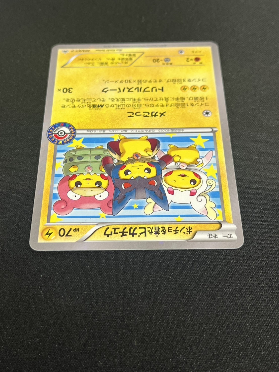 ポンチョを着たピカチュウ(203/XY-P) | プロモ | ドラゴンスター