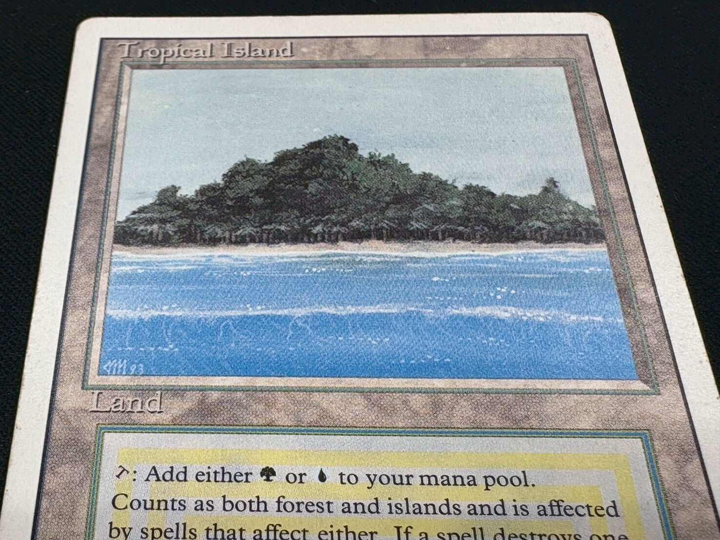 3ED)Tropical Island(inked)(MP)(EN)/(未訳) | 未登録 | ドラゴン