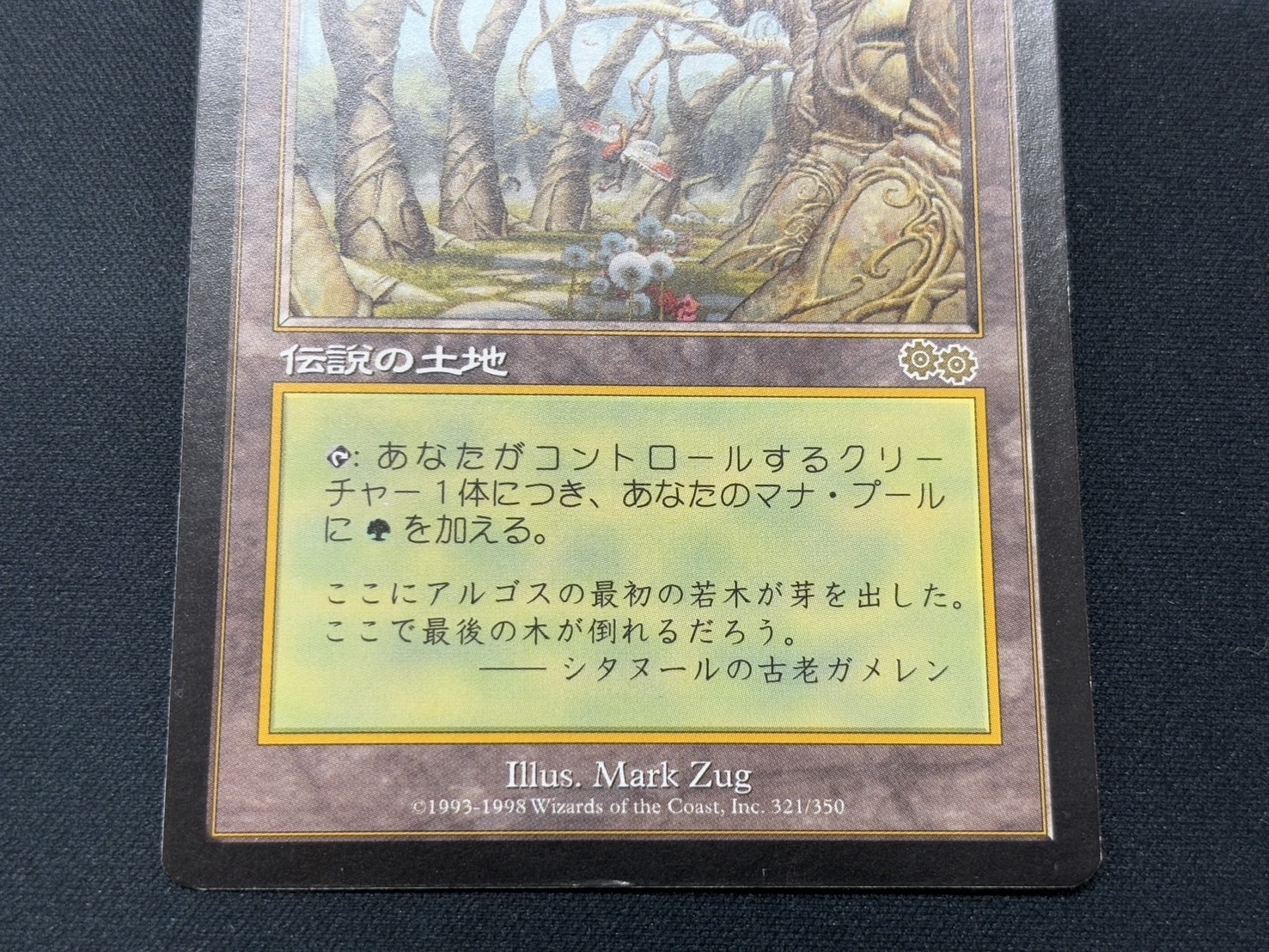 Mtg ガイアの揺籃の地 中国語 簡体字 Mtg ガイアの揺籃の地 中国語 簡体字