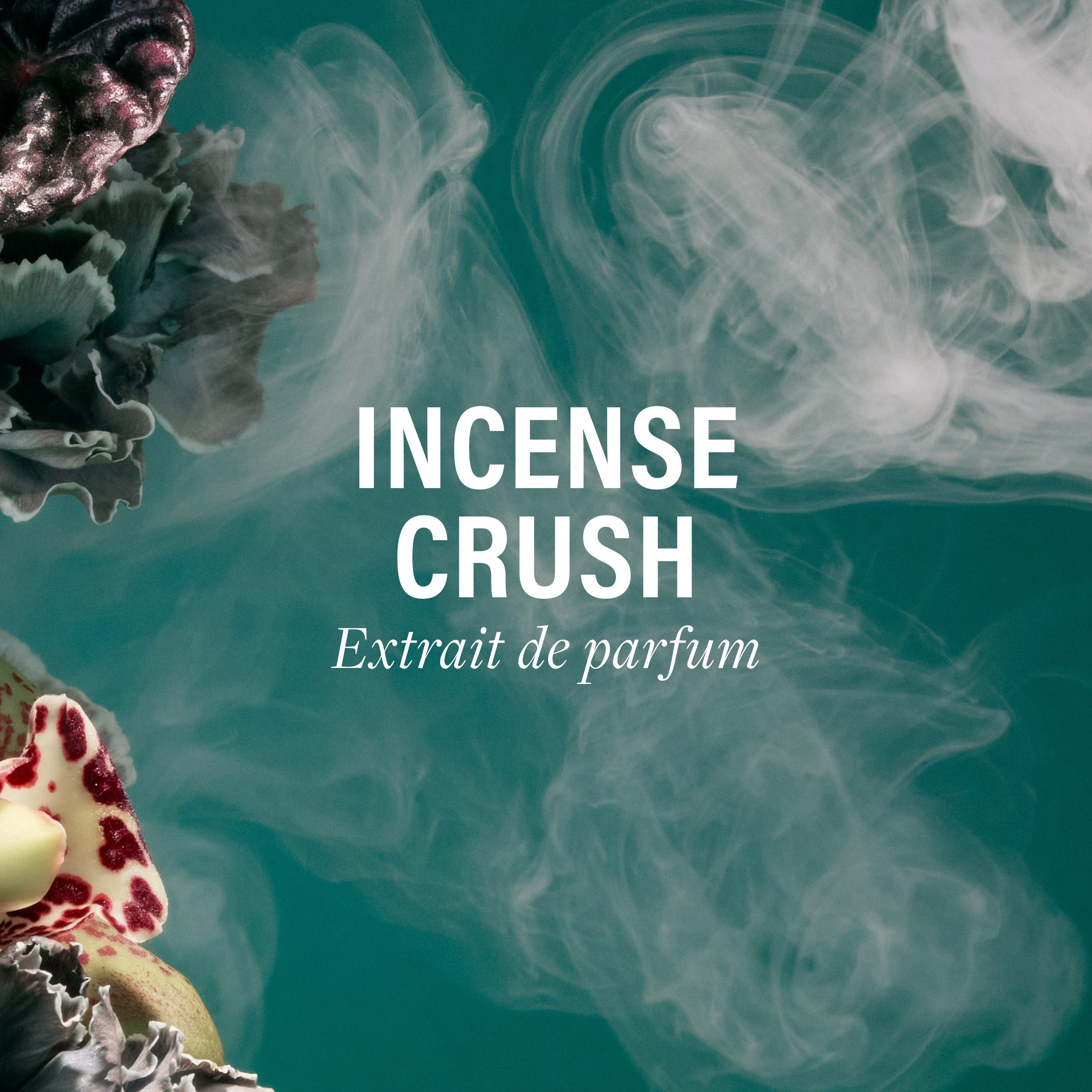 Incense Crush ボディフレグランス - ドルセー ジャパン (d'Orsay