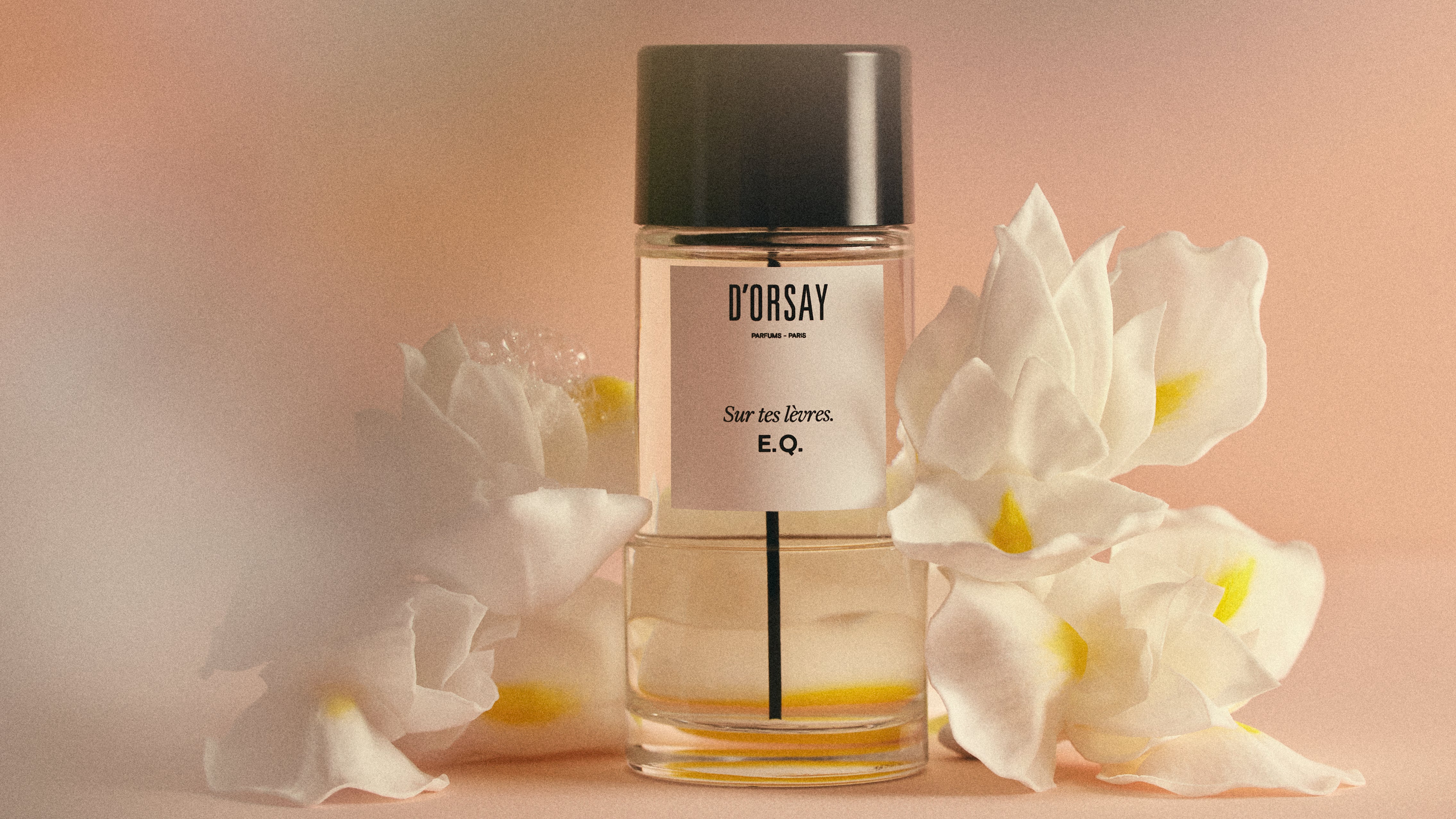 G.A. トラベルエディション - ドルセー ジャパン (d'Orsay Japan