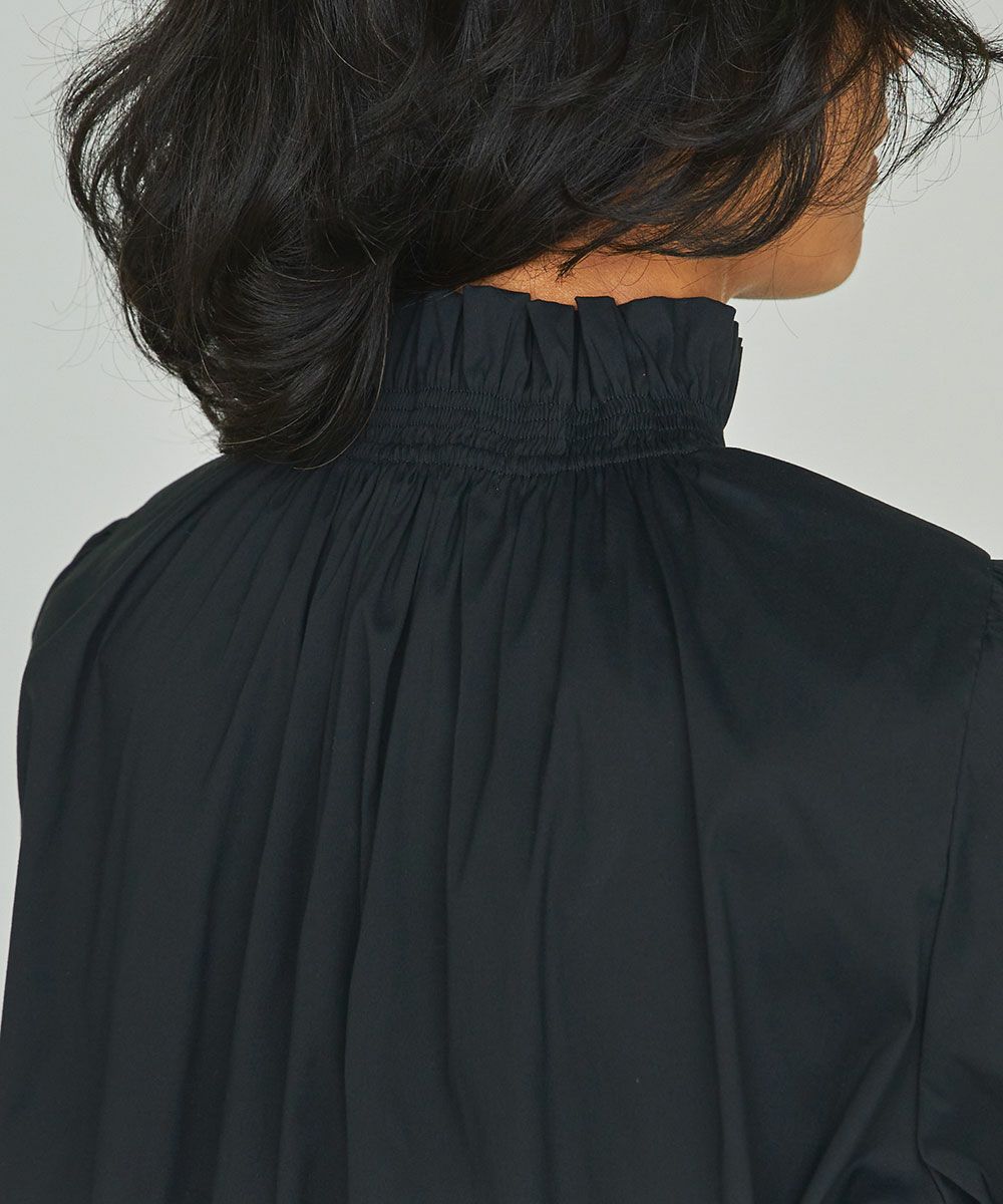 DSC /スタンドカラーフリルブラウス TOPS Night STORE | ダブル