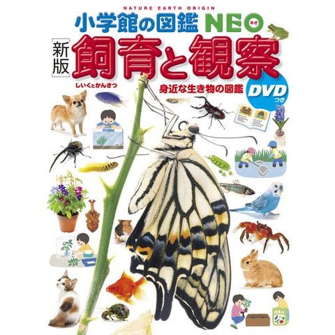 ringo 小学館NEO・こども百科・学研図鑑・NEO＋ 他27冊セット ringo