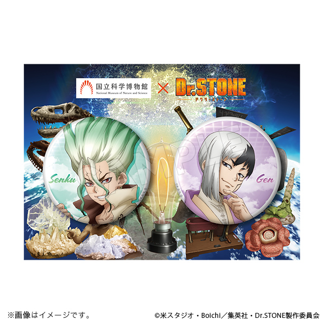 缶バッジセット 国立科学博物館×Dr.STONE ver. - GOODS｜アニメ「Dr