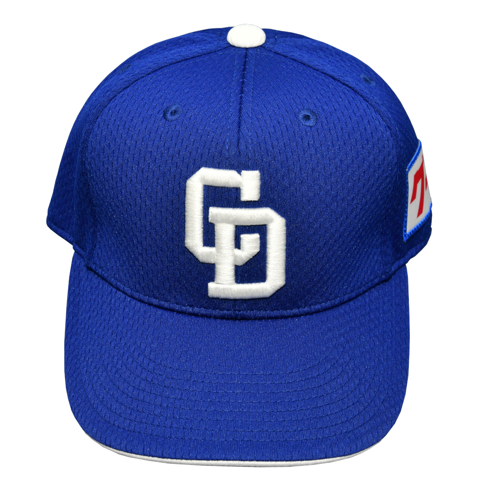 プロモデル | 中日ドラゴンズオフィシャルグッズショップ