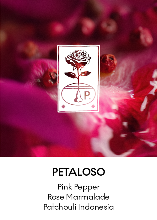 Dr. Vranjes Firenze ® ディスカバリーキット