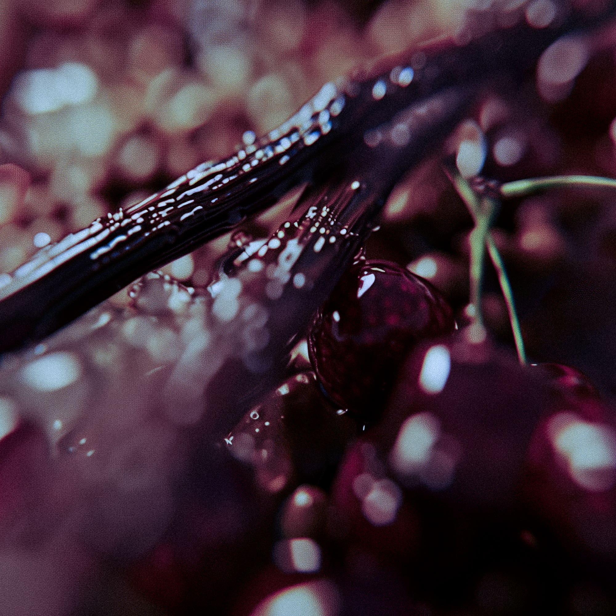 Dr. Vranjes Firenze ® Eau de Parfum Nottetempo 40 ml