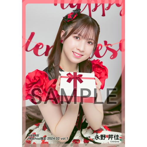 予約商品】AKB48 2024年2月度 net shop限定個別生写真5枚セットvol.1