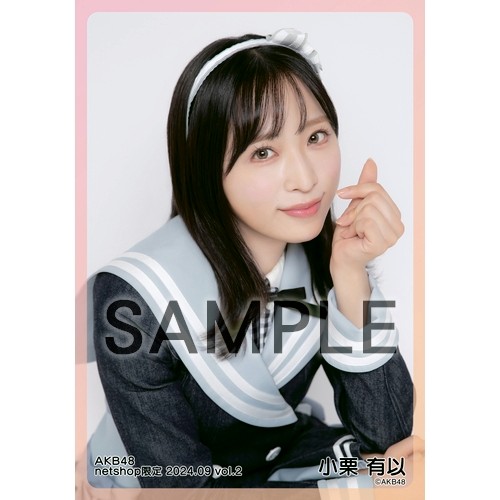 予約商品】AKB48 2024年9月度 net shop限定個別生写真5枚セットvol.2