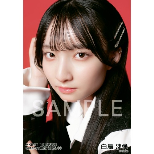 AKB48 19期研究生 2025年6月度 net shop限定個別生写真5枚セット
