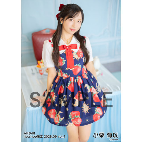 予約商品】AKB48 2025年9月度 net shop限定個別生写真5枚セットvol.1