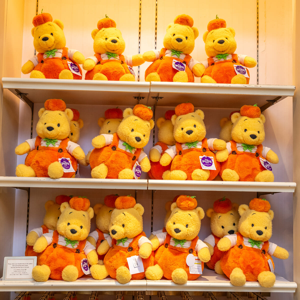 かわいいパンプキン仮装！東京ディズニーリゾート“ディズニー