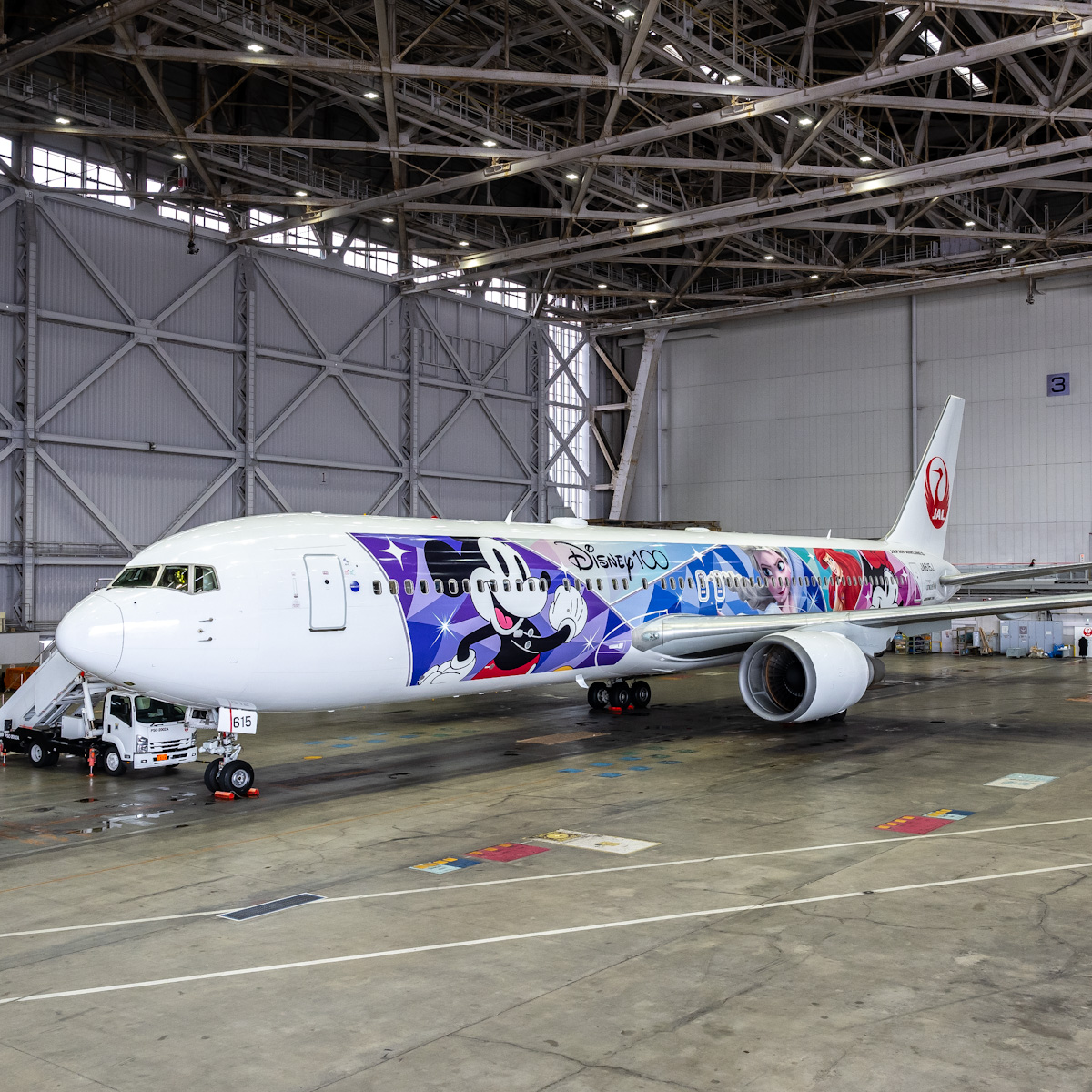 JAL DREAM EXPRESS B767-300ER ディズニー 新品 JAL DREAM EXPRESS