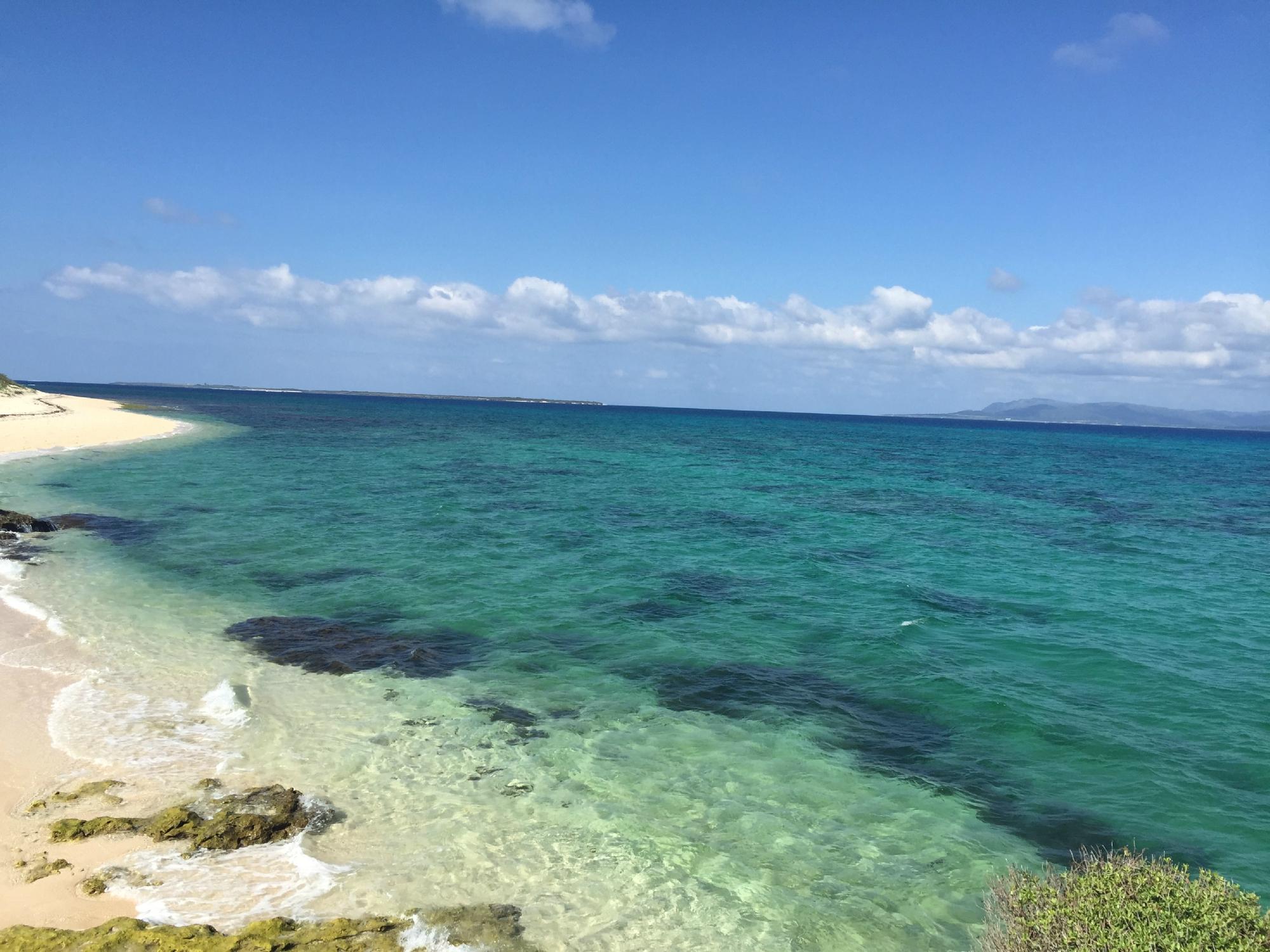 caption.jpg?w=1200&h=1200&s=1