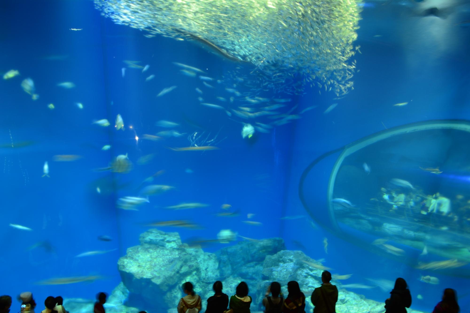 caption.jpg?w=1200&h=-1&s=1