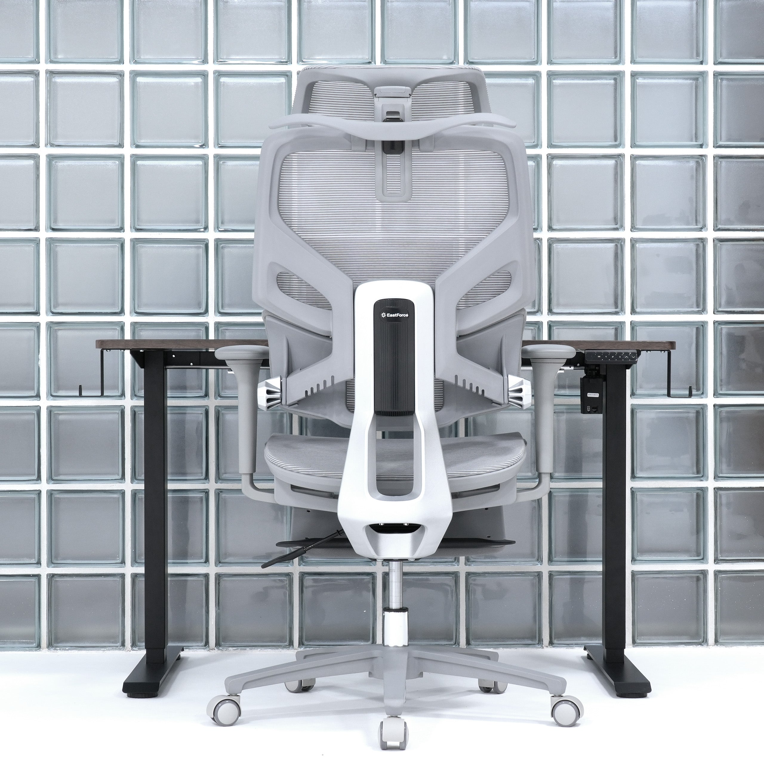 MONSTER LUMBIRT – EastForce 公式サイト