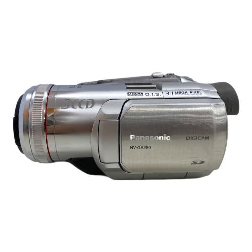 Panasonic (パナソニック) デジタルビデオカメラ 2005年製 NV-GS250
