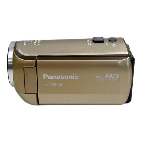 Panasonic (パナソニック) デジタルハイビジョンビデオカメラ HC-V300M