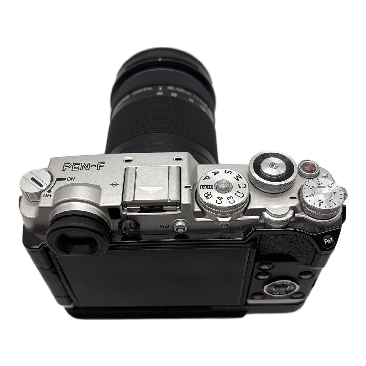 ジャンク OLYMPUS オリンパス PEN mini E-PM1 カメラ ミラーレス一眼