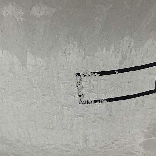 BOTANIZE (ボタナイズ) 鉢セット 4点セット CARPE DIEM Backside works