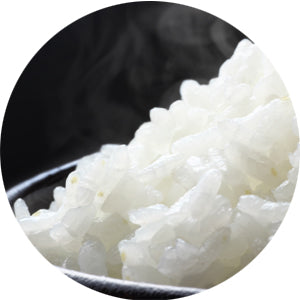 単発】慧一之水 2L + Waka-ga-El （10日分） – デトックス革命！ 慧一