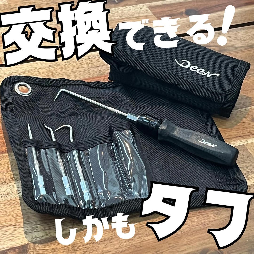 DEEN ピックツールセット 差し替え式 DNPKT95SET 【2月末入荷予定