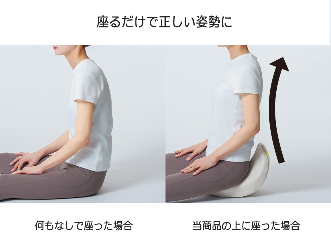 骨盤底筋エクササイズクッション ハーモット ペルモント: ｜ カタログ