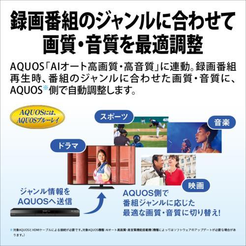 シャープ(SHARP) 2B-C10GW1 AQUOS アクオス ブルーレイディスク