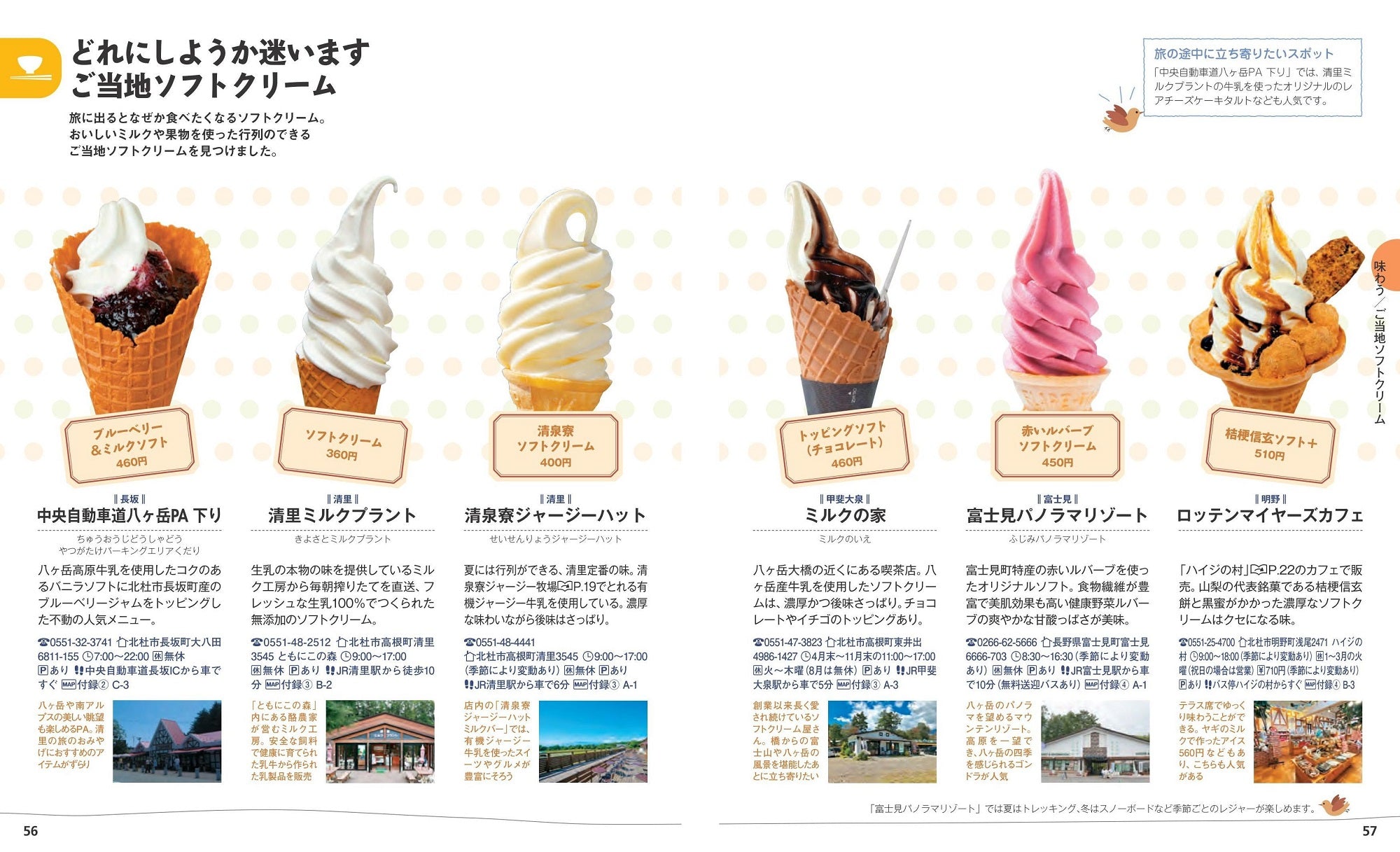 エアリアガイド16 甲斐路・清里 ペンション徹底紹介 昭文社 エアリア