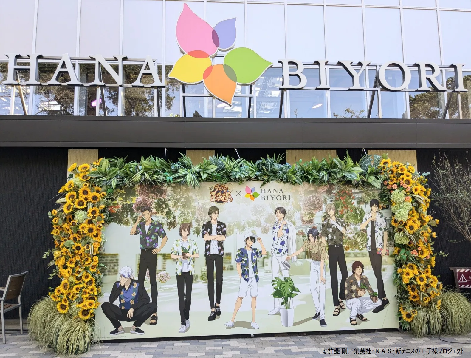 新テニスの王子様』×HANA・BIYORI