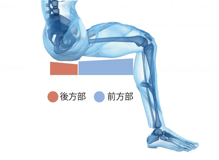 バリライト メリディアン クッション | イフ・オンラインショップ