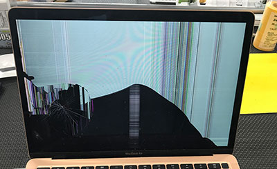 Apple A2179の上半身交換(アセンブリ交換)アクリル板割れ | 液晶修理