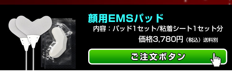 顔用EMSシステム 干渉波EMSマシン パーフェクト4500シリーズ用オプション
